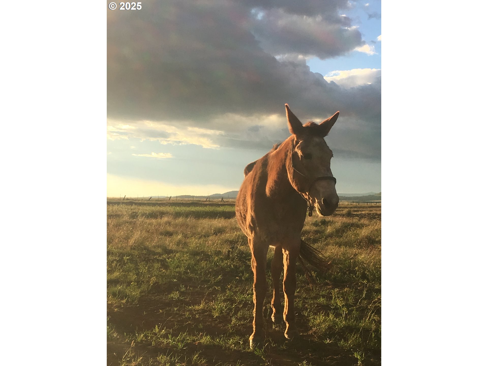 0 North Fairgrounds Road Goldendale, WA 98620 - Photo 14 of 48 a picture of a bathroom