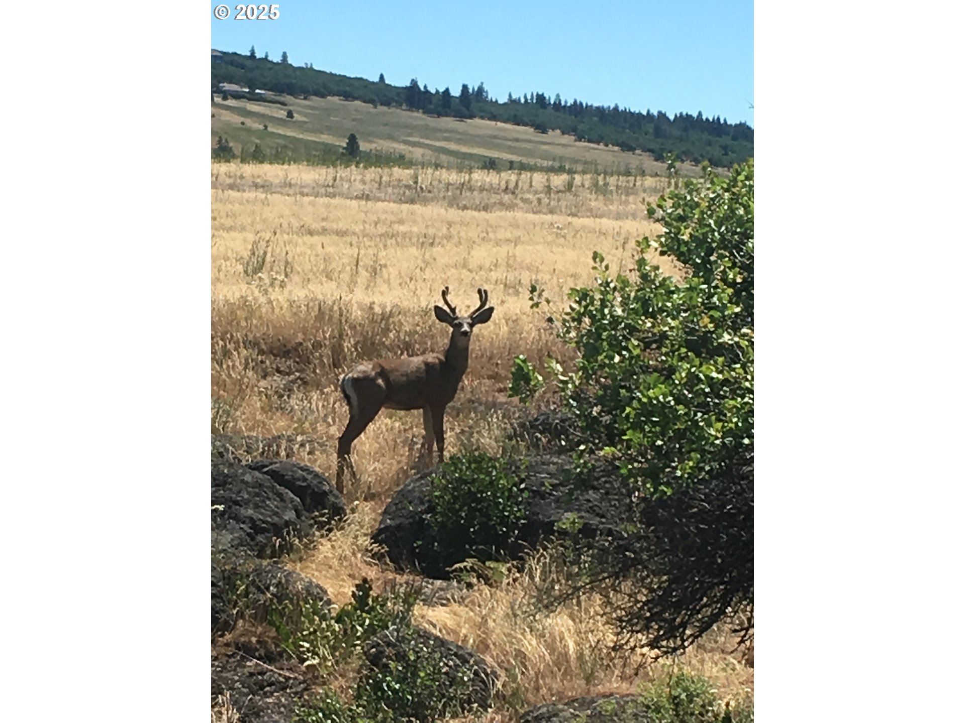 0 North Fairgrounds Road Goldendale, WA 98620 - Photo 9 of 48 a view of lake from window
