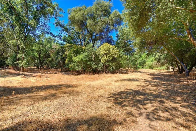 a view of outdoor space with trees all around