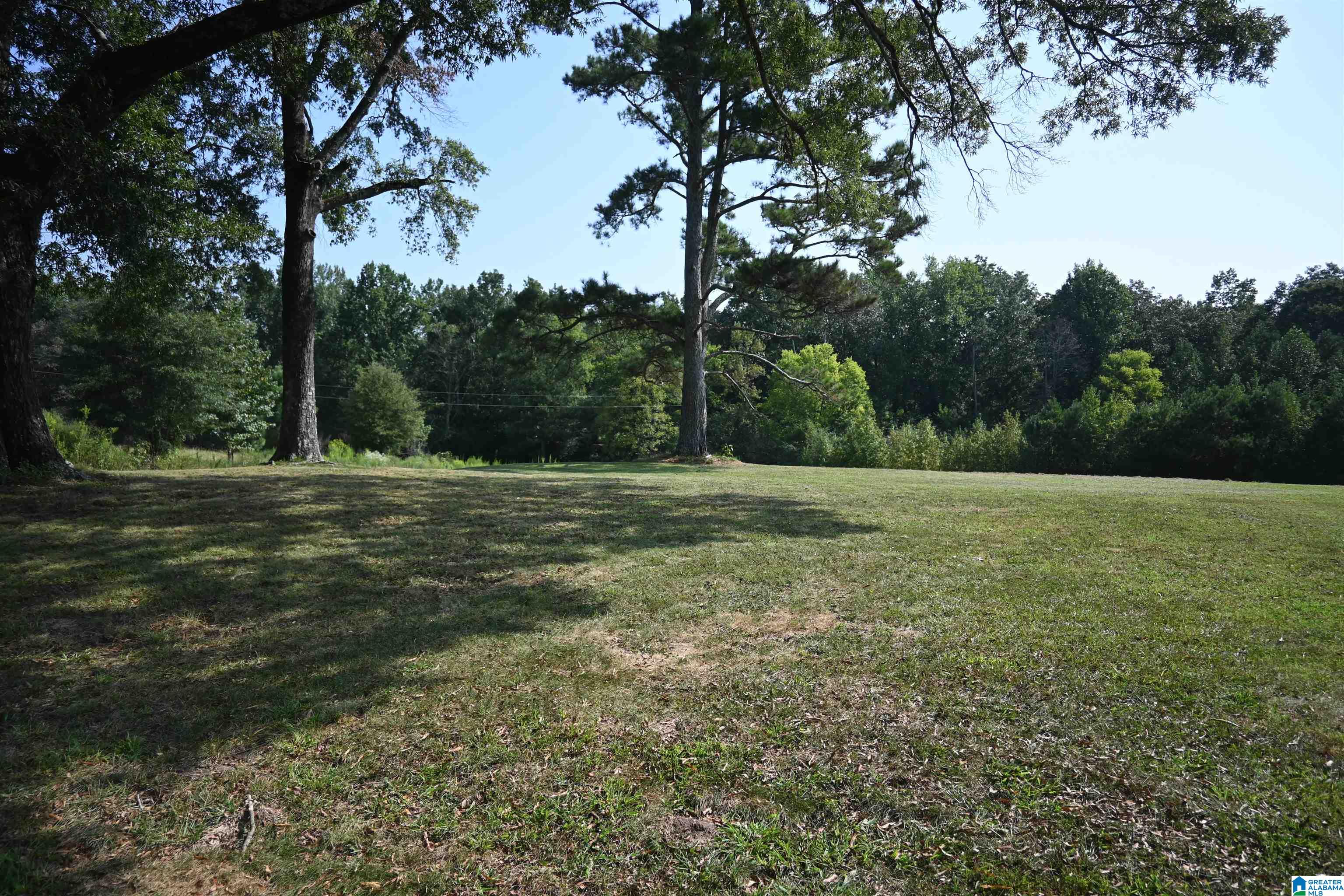 1401 County Road 844 Logan, AL 35098 - Photo 23 of 34