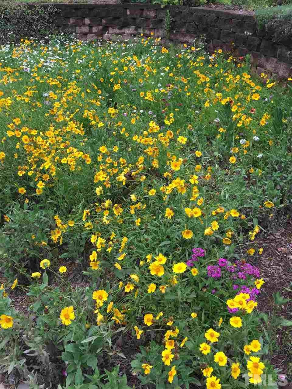 114 Bynum Ridge Road Pittsboro, NC 27312 - Photo 14 of 23 Spring is here--the flowers in bloom!