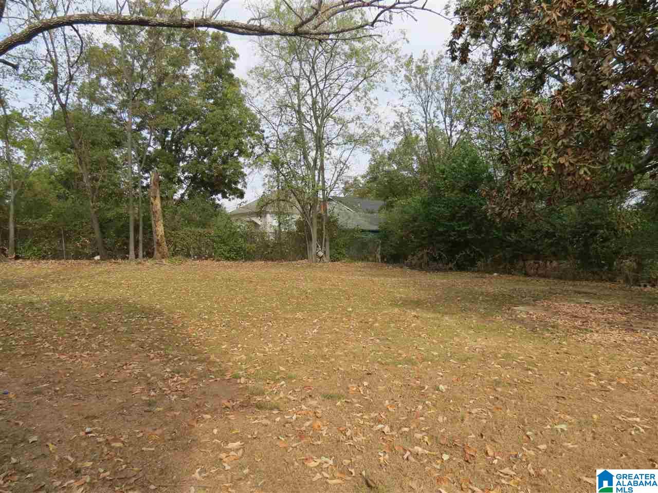 1357 Hall Street Southwest Birmingham, AL 35211 - Photo 20 of 20