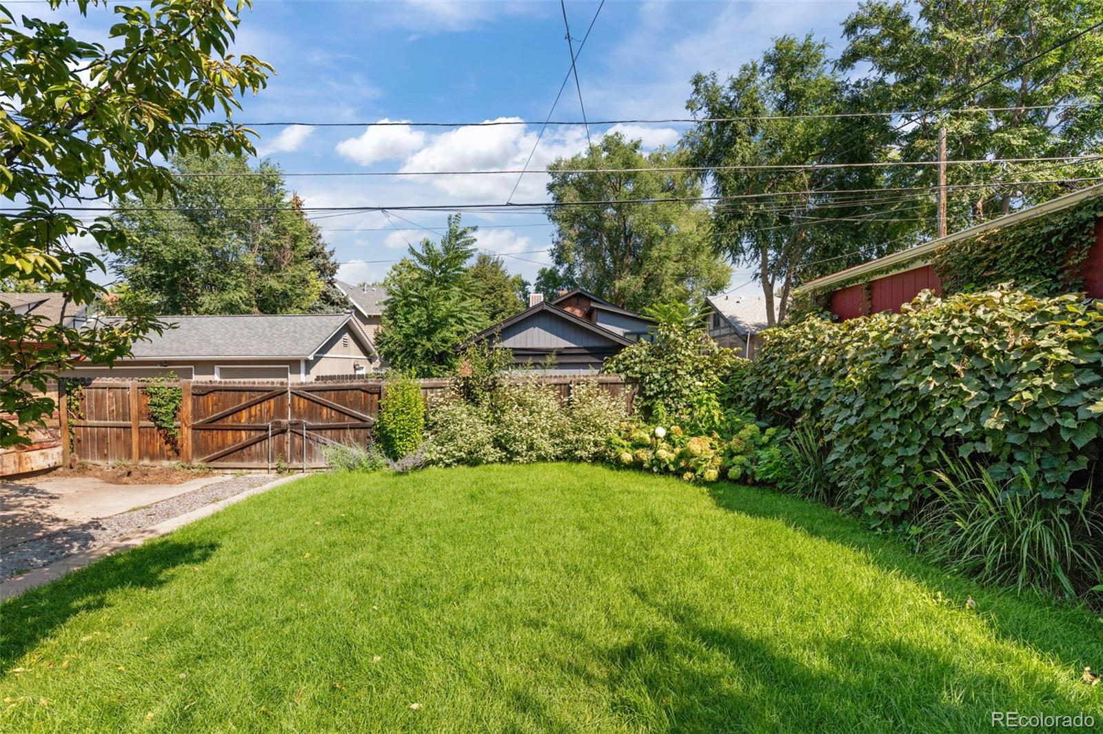 2314 Grape Street Denver, CO 80207 - Photo 33 of 49 a view of backyard with a garden and plants