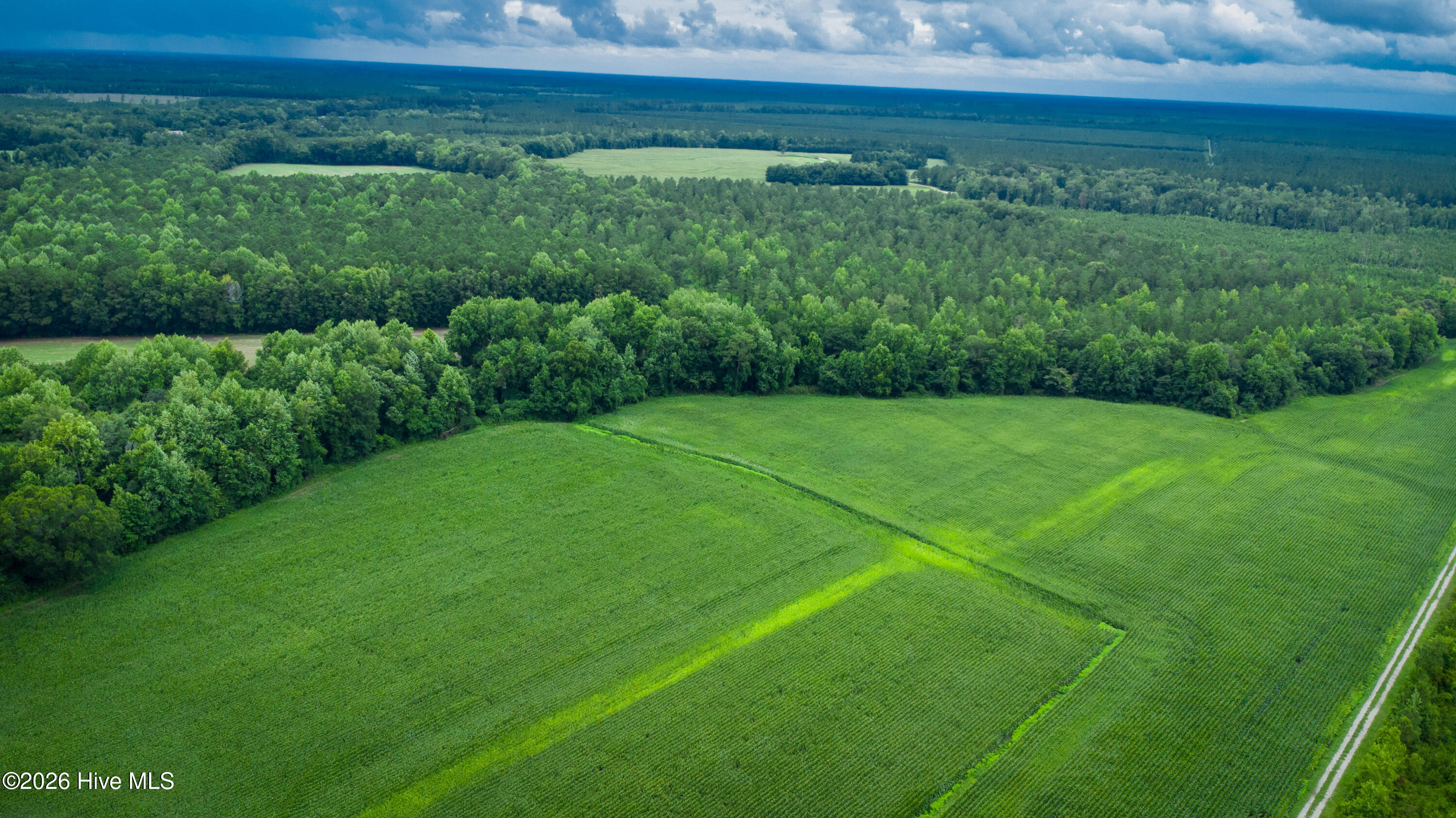 1601 Hill Neck Road Ernul, NC 28527 - Photo 26 of 33 Over 230 Acres of Opportunity