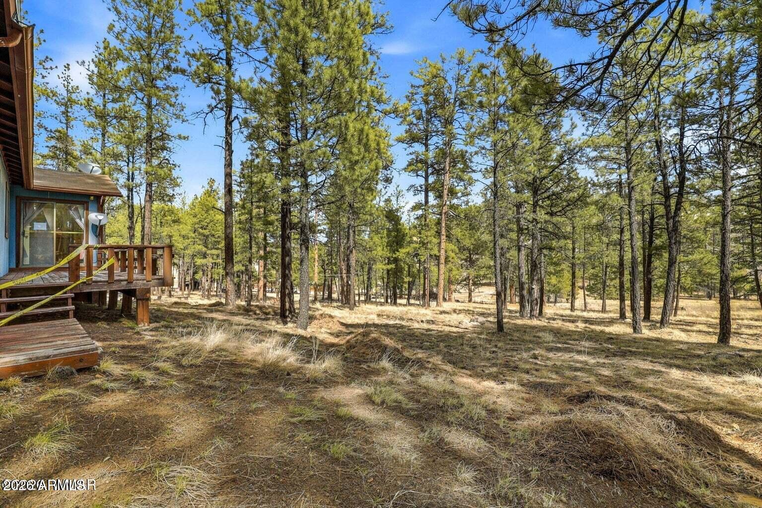 6 South County Rd N2148 Road Alpine, AZ 85920 - Photo 17 of 29 17