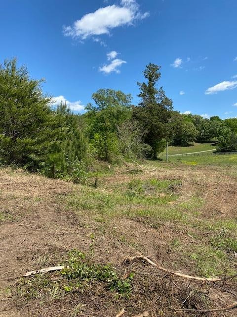 2125 Fisher Hollow Road Georgetown, TN 37336 - Photo 12 of 12