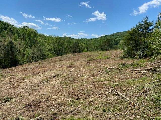2125 Fisher Hollow Road Georgetown, TN 37336 - Photo 3 of 12