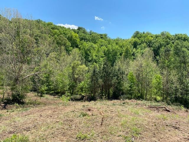2125 Fisher Hollow Road Georgetown, TN 37336 - Photo 10 of 12