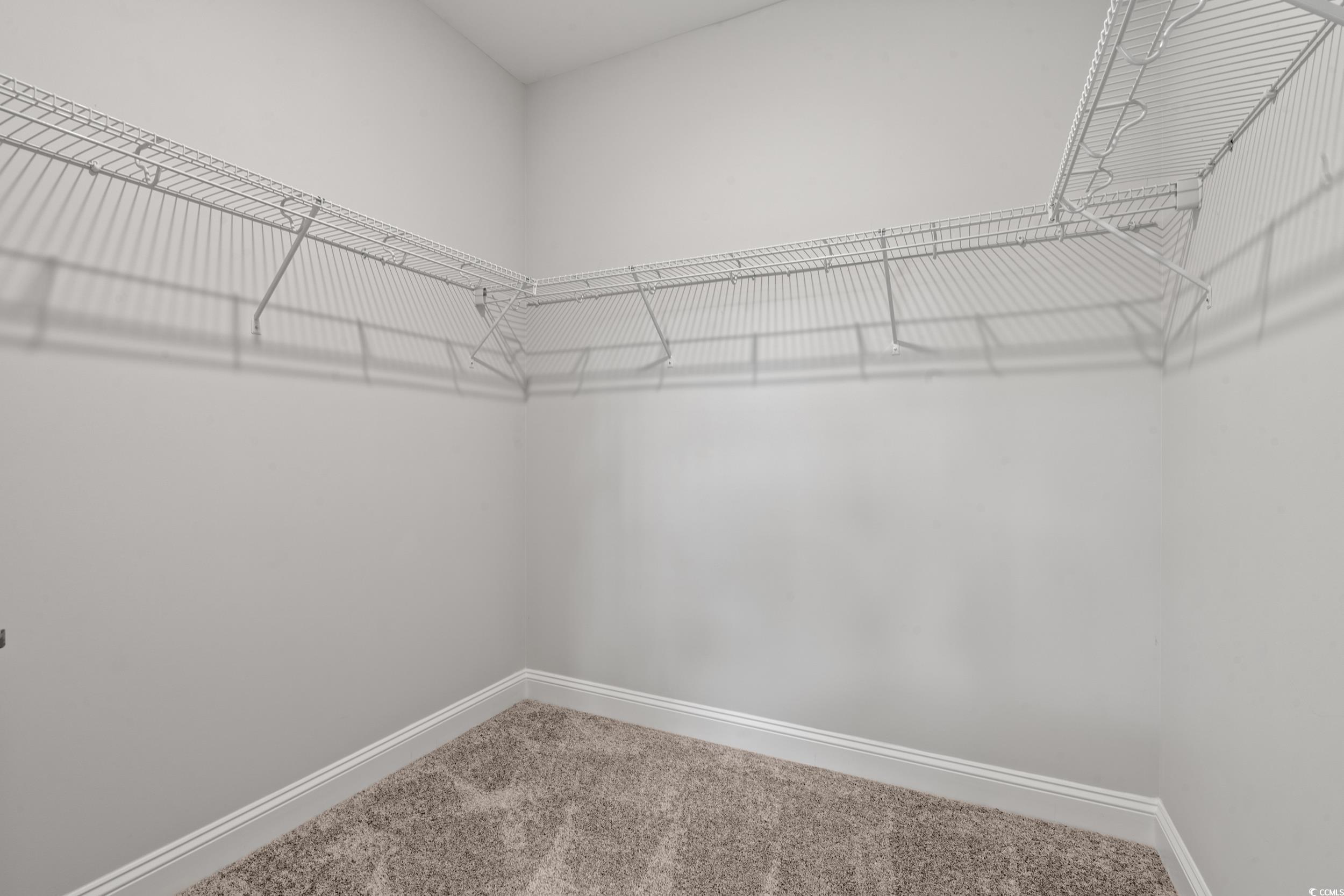 220 Ford Road Pawleys Island, SC 29585 - Photo 8 of 18 Walk in closet featuring carpet