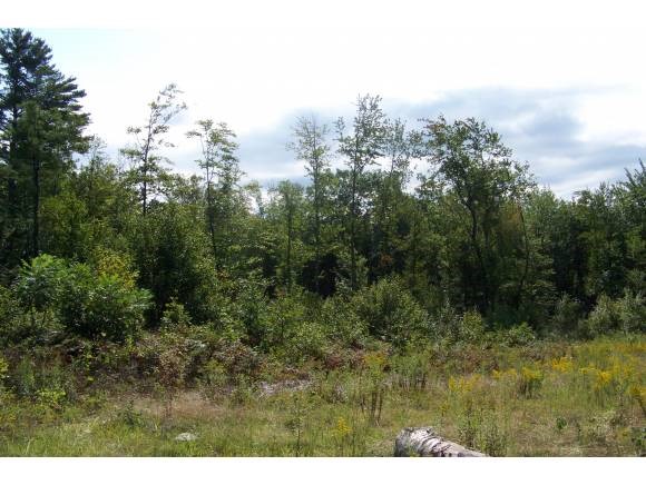 2 Peck Road Acton, ME 04001 - Photo 1 of 1 Gallery Image 1