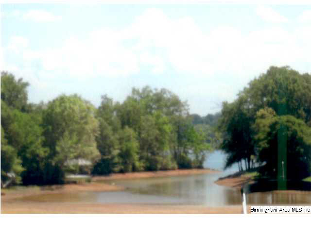 Blue Springs Road, Unit 1 2 Cropwell, AL 35054 - Photo 2 of 2