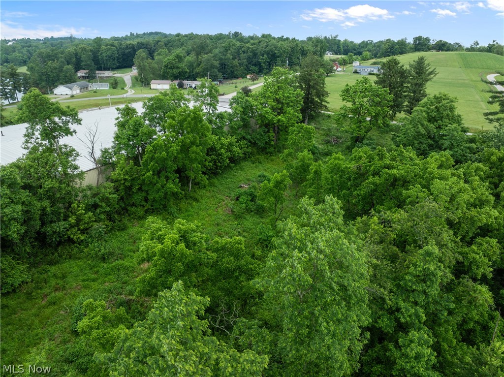 41310 Brown Road Bethesda, OH 43719 - Photo 5 of 10