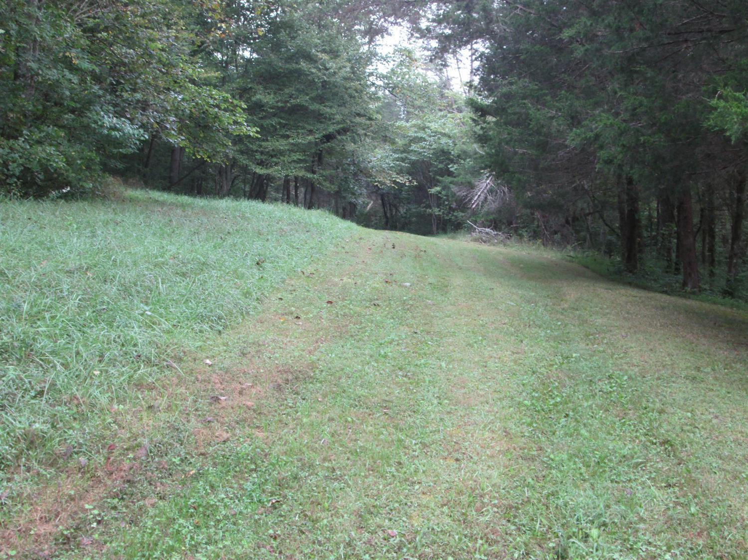 2925 Sand Hill Road Irvine, KY 40336 - Photo 11 of 31 Photo 11