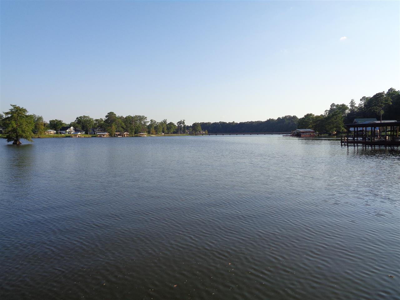 15427 Birdhouse Road Andalusia, AL 36421 - Photo 7 of 21 Gallery Image 7