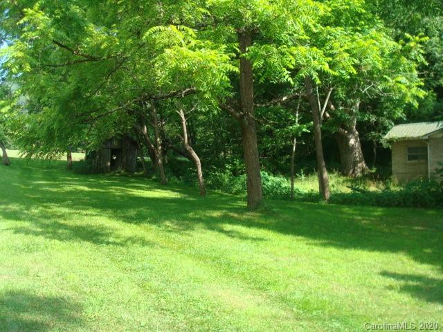 819 Abel Road Canton, NC 28716 - Photo 4 of 4 a view of a tree in a yard