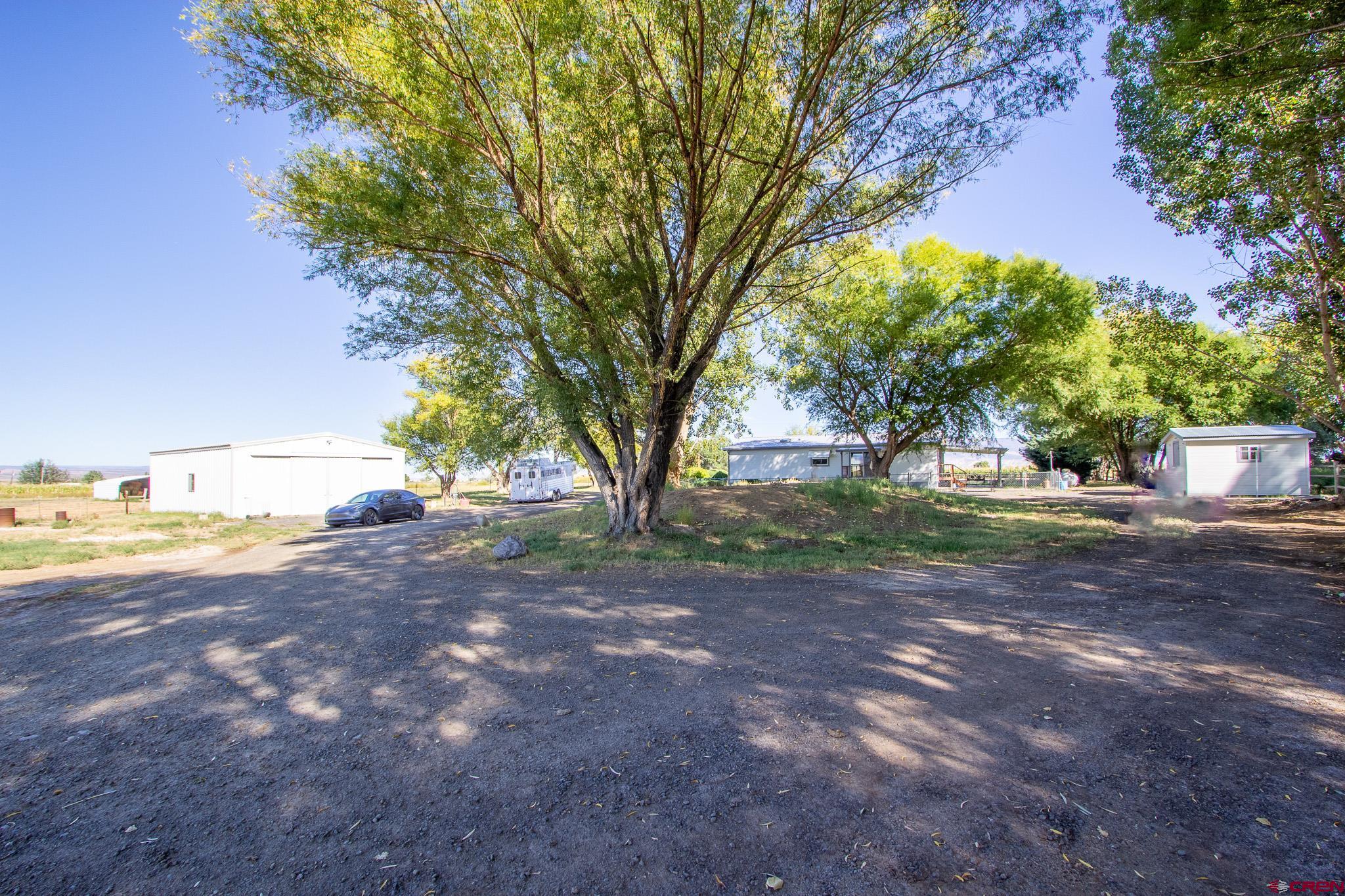 13648 B Road Delta, CO 81416 - Photo 32 of 35 a view of a yard with tree s