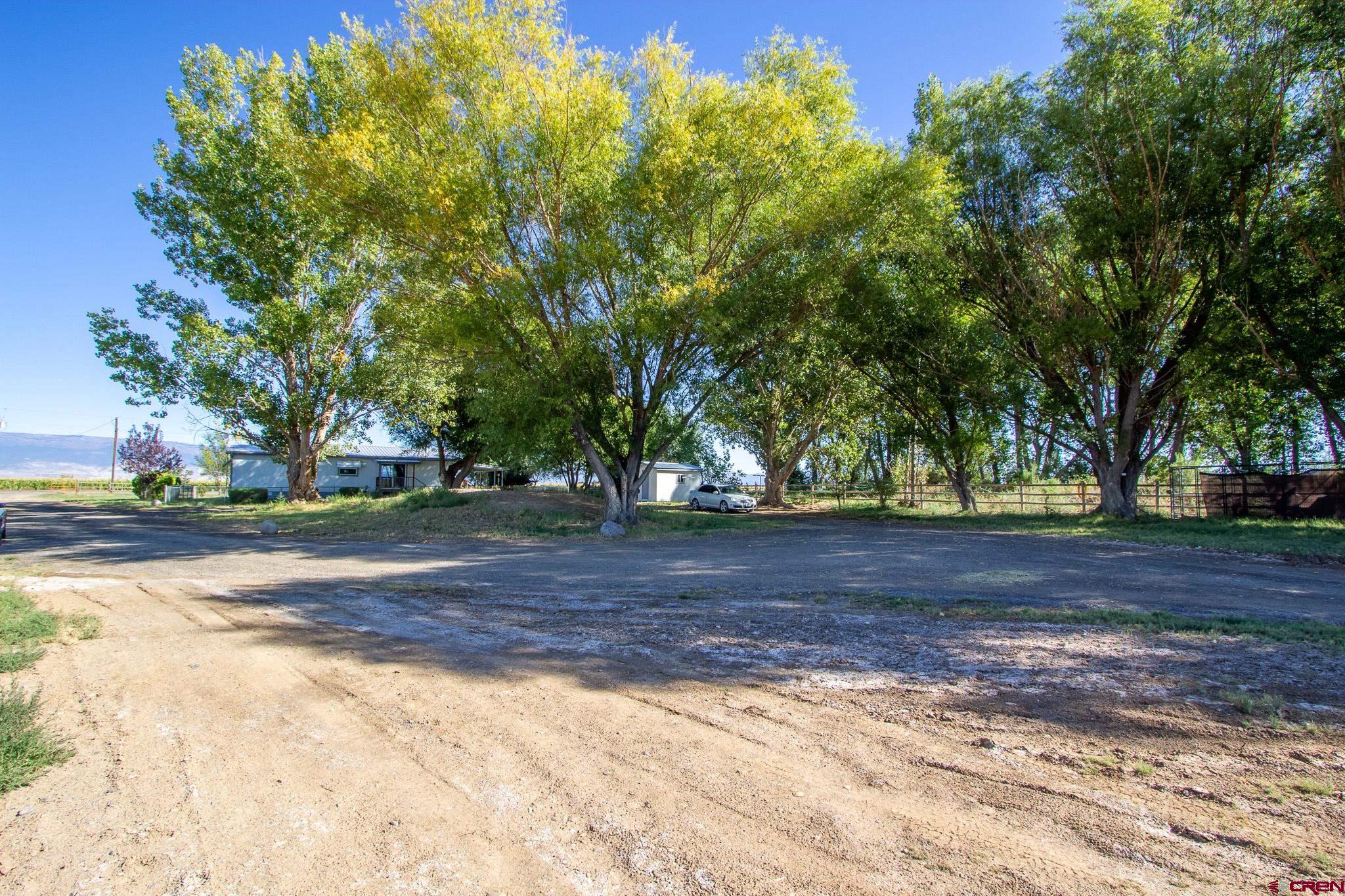 13648 B Road Delta, CO 81416 - Photo 33 of 35 a view of a yard with a tree
