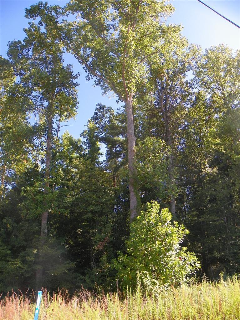 12 Cave Springs Road Nancy, KY 42544 - Photo 22 of 29 Additional Photo