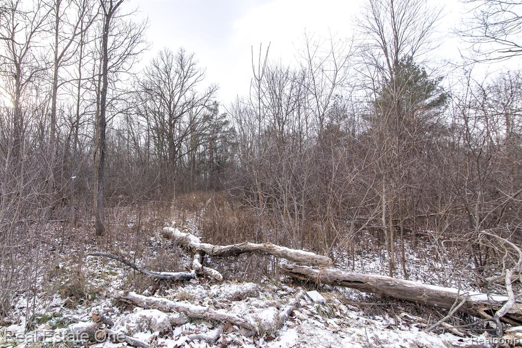 9061 Spencer Road Whitmore Lake, MI 48189 - Photo 2 of 15