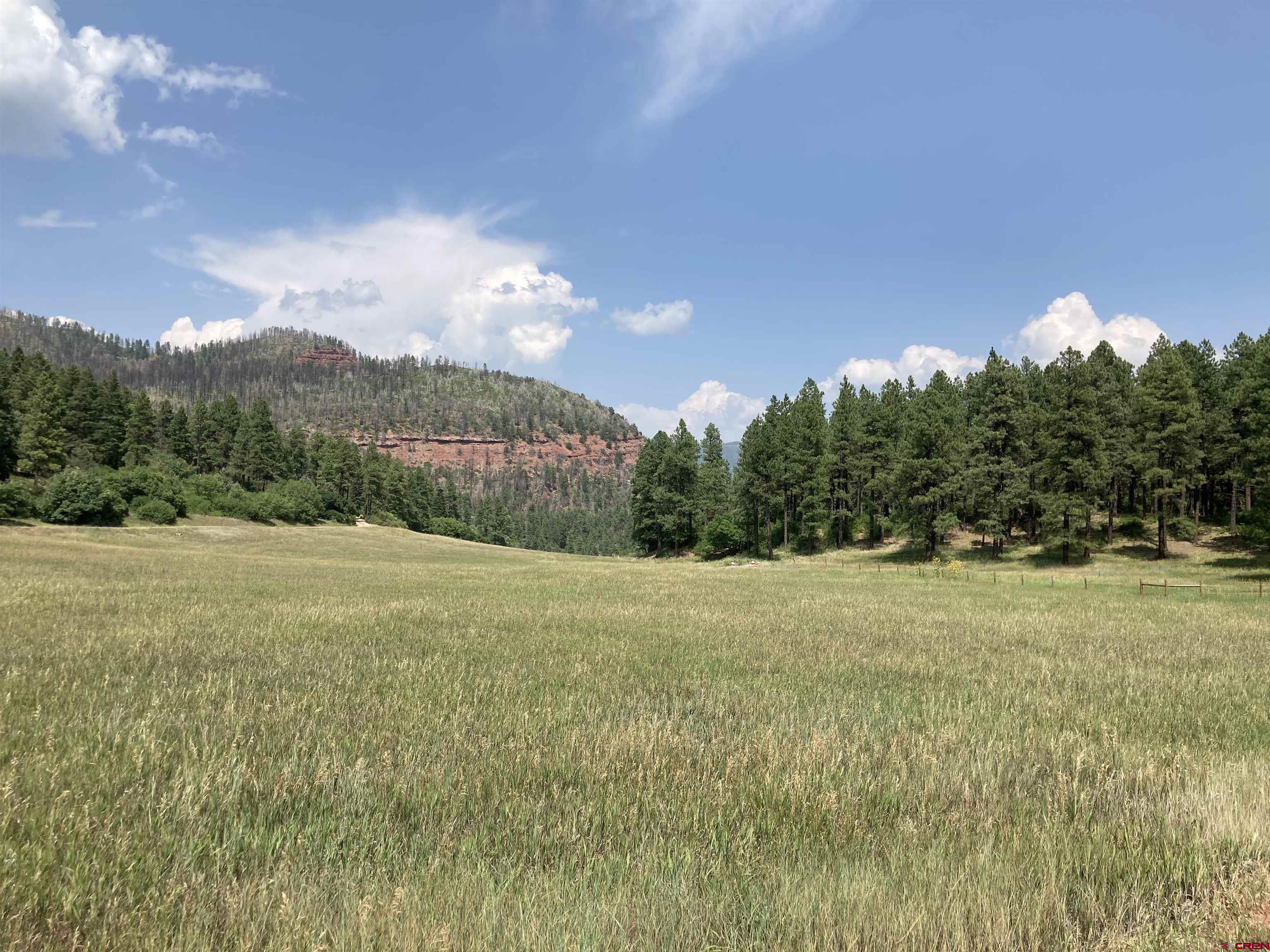 Tbd Tbd High Meadows Ranch Durango, CO 81301 - Photo 1 of 33