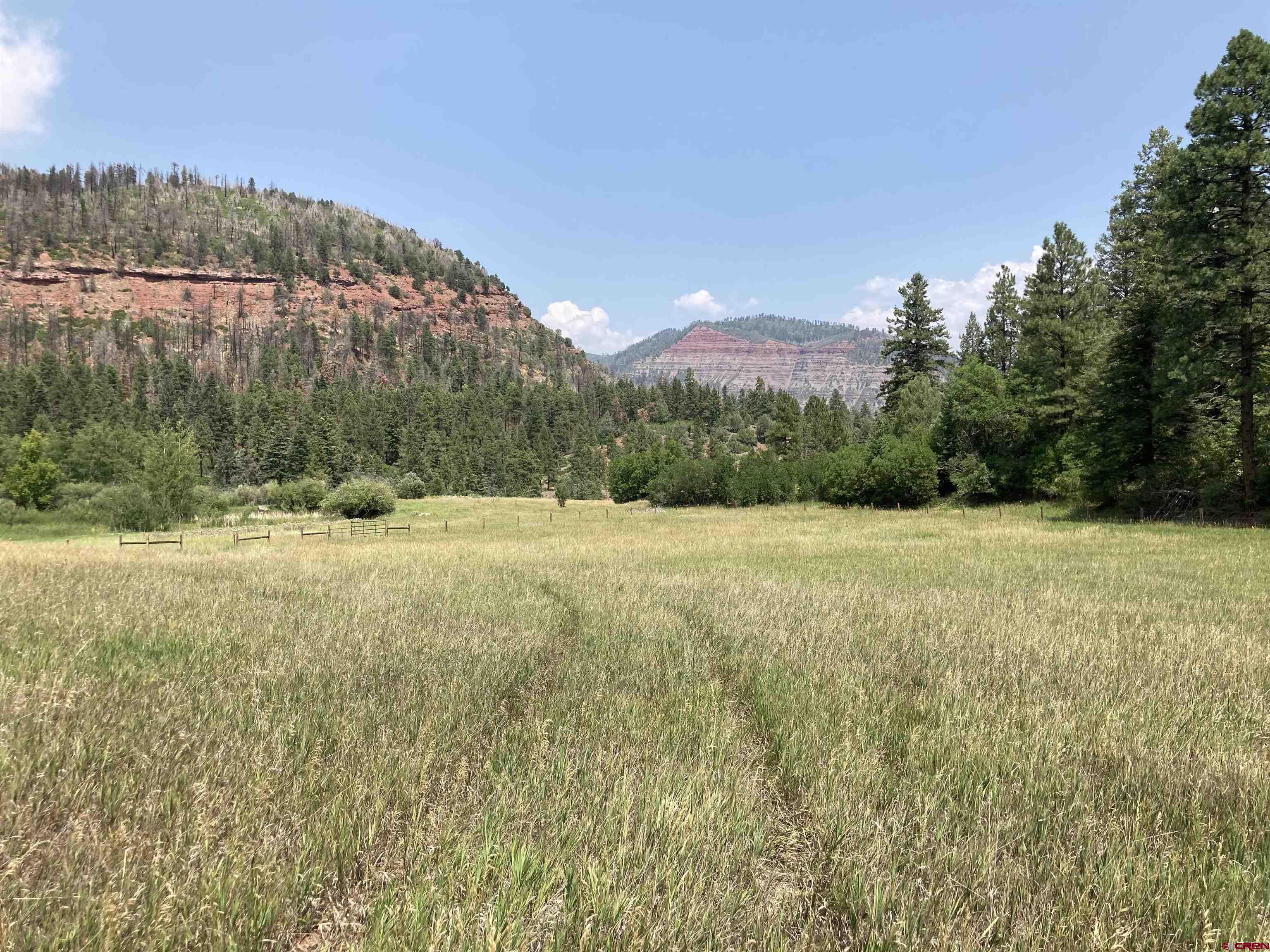 Tbd Tbd High Meadows Ranch Durango, CO 81301 - Photo 3 of 33