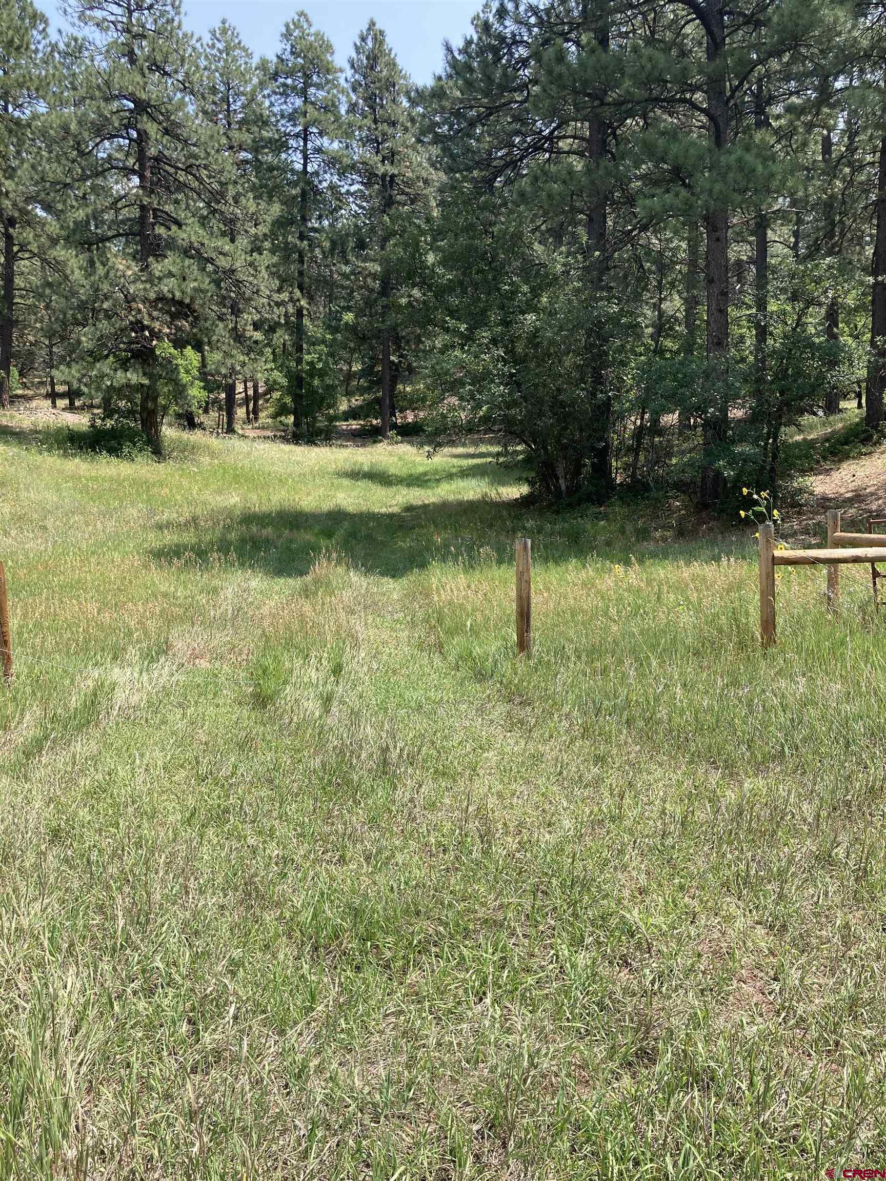 Tbd Tbd High Meadows Ranch Durango, CO 81301 - Photo 23 of 33