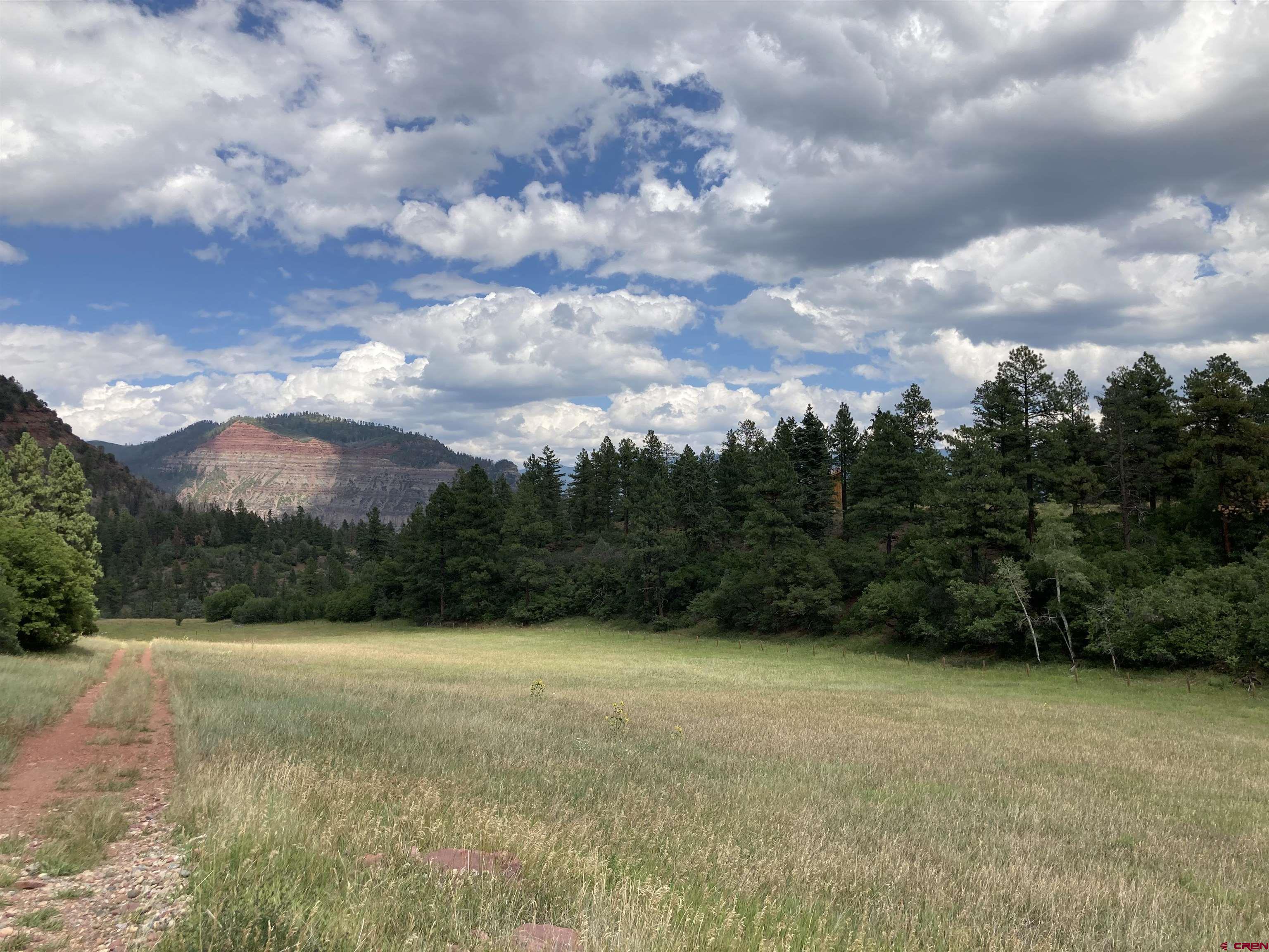 Tbd Tbd High Meadows Ranch Durango, CO 81301 - Photo 29 of 33