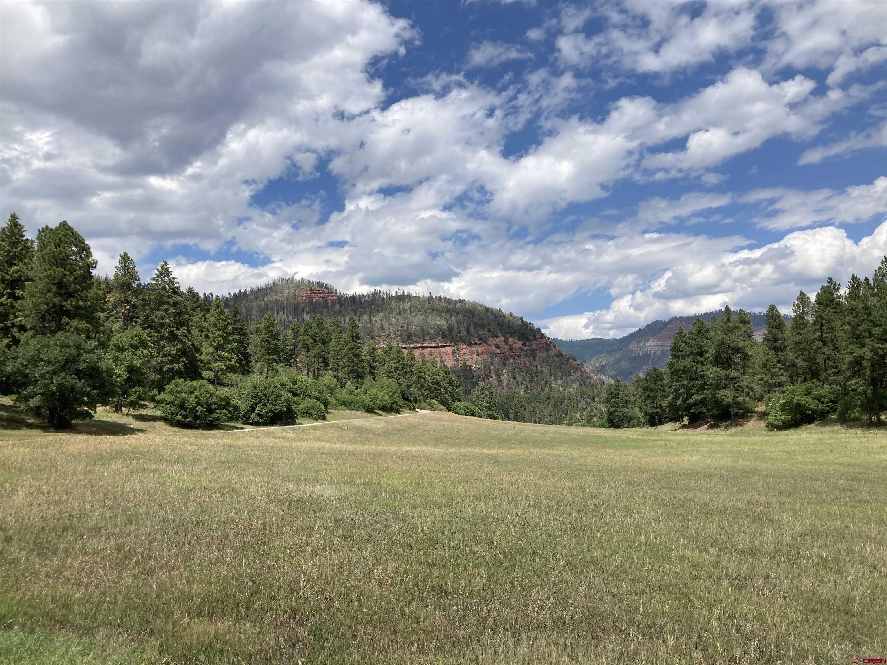 Tbd Tbd High Meadows Ranch Durango, CO 81301 - Photo 4 of 33