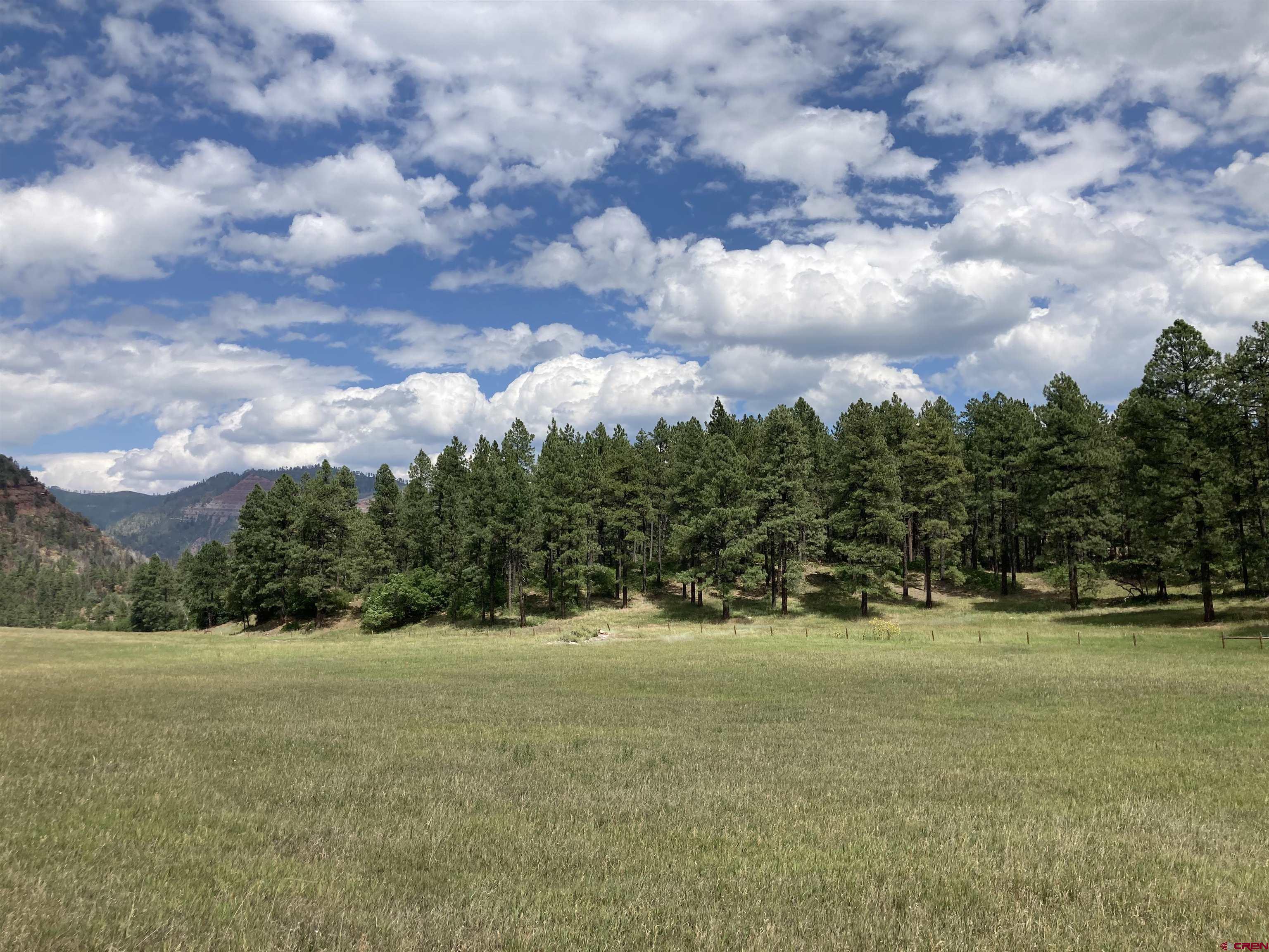 Tbd Tbd High Meadows Ranch Durango, CO 81301 - Photo 5 of 33