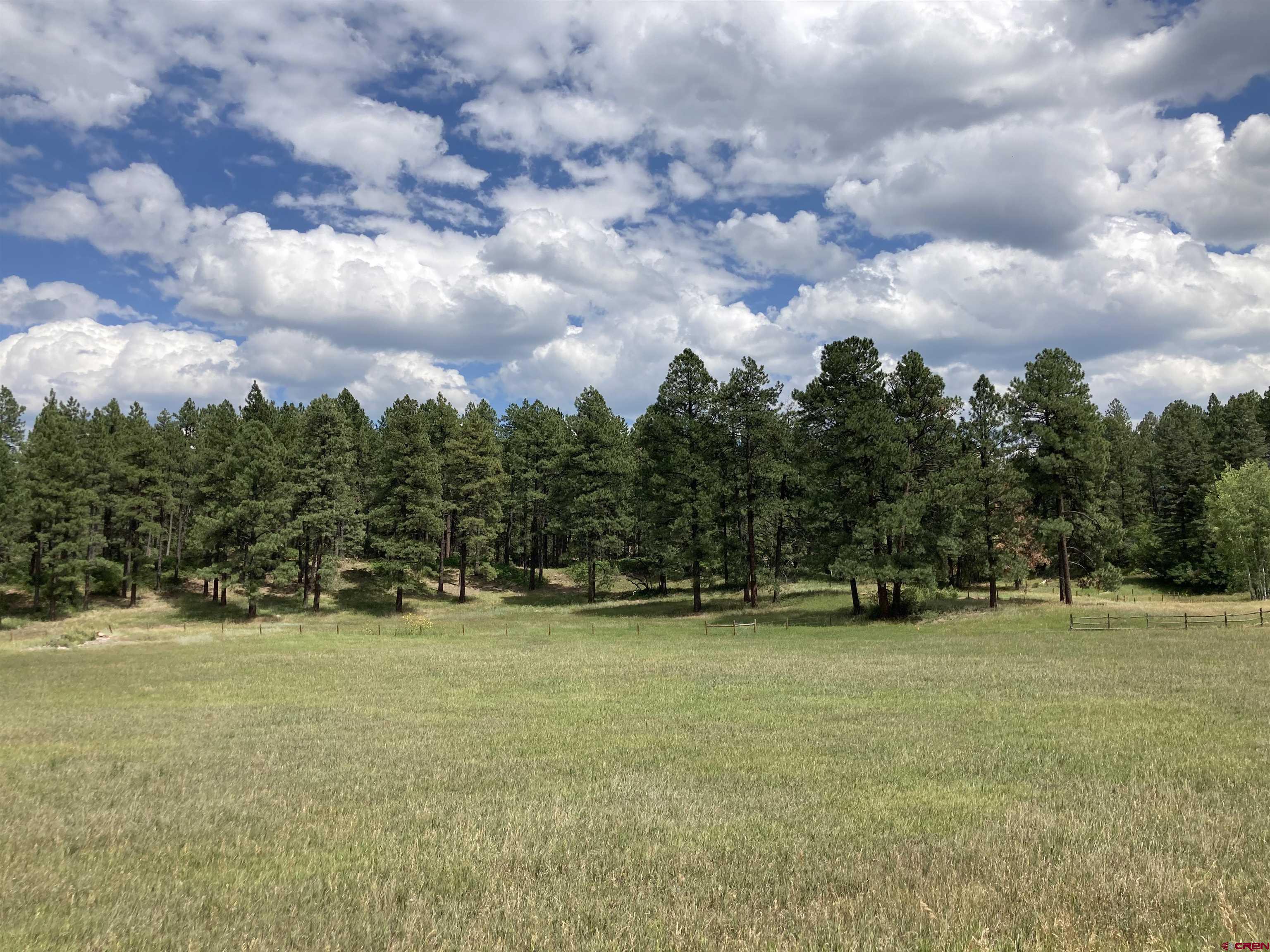 Tbd Tbd High Meadows Ranch Durango, CO 81301 - Photo 6 of 33