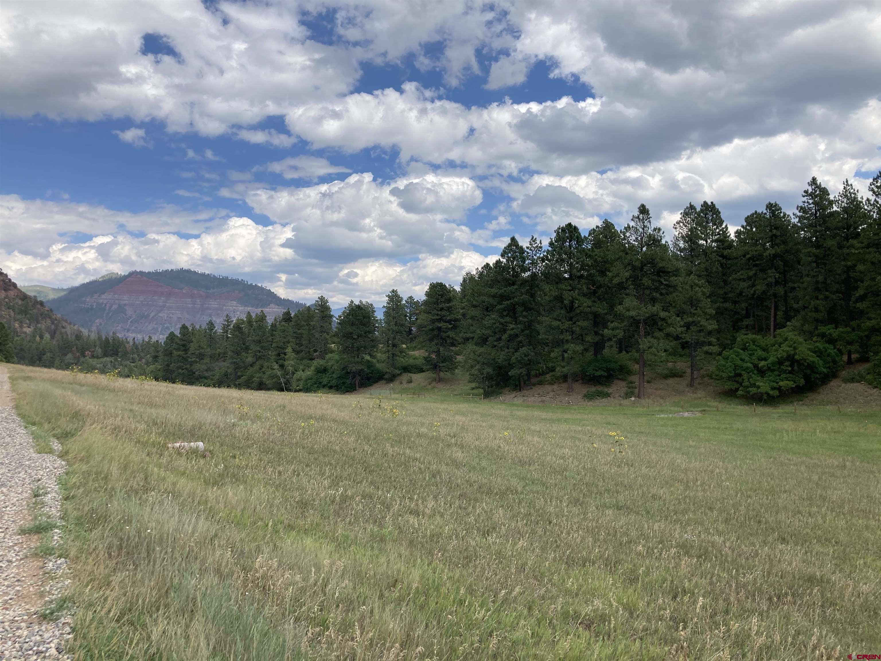 Tbd Tbd High Meadows Ranch Durango, CO 81301 - Photo 7 of 33