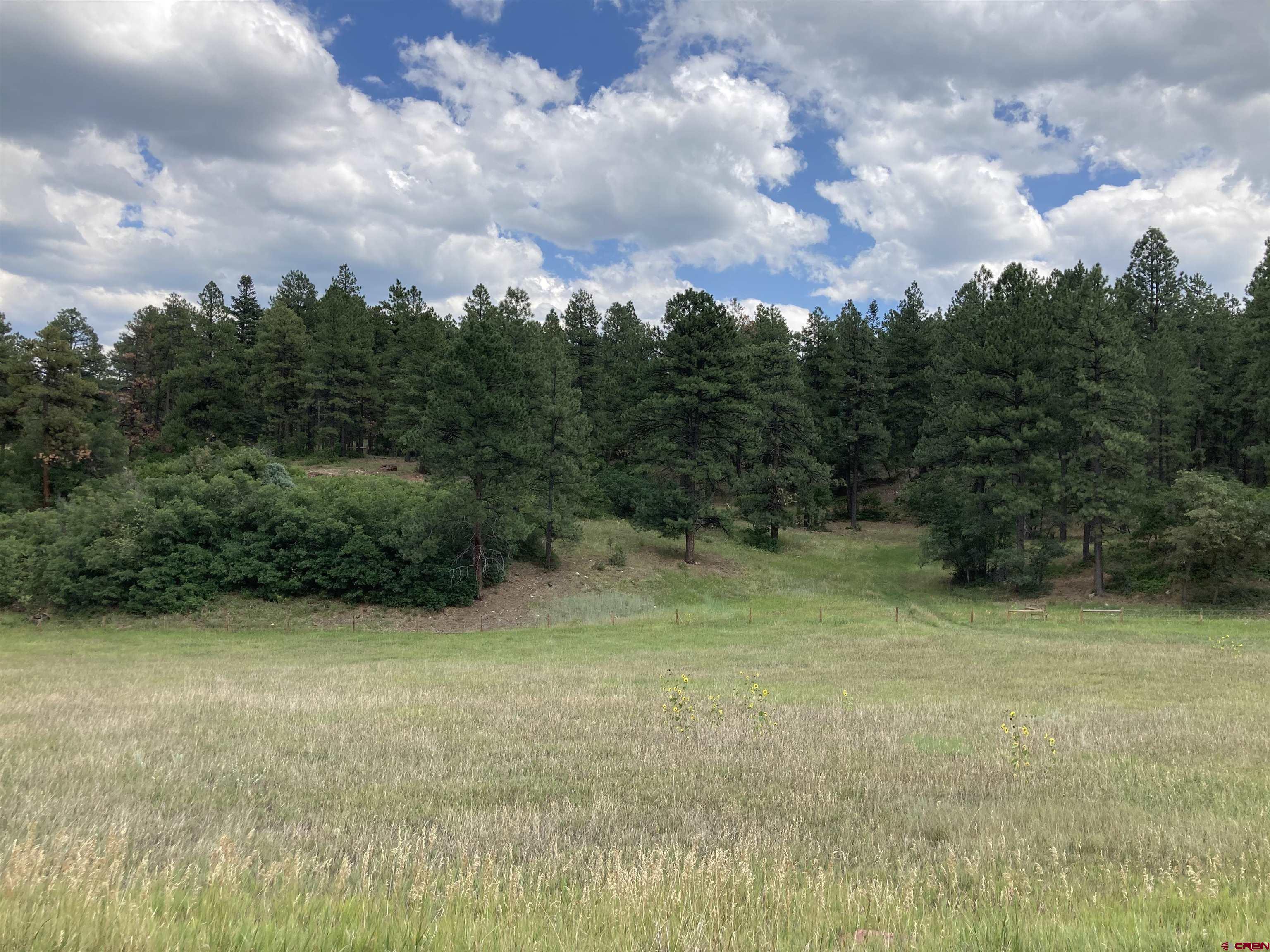 Tbd Tbd High Meadows Ranch Durango, CO 81301 - Photo 8 of 33