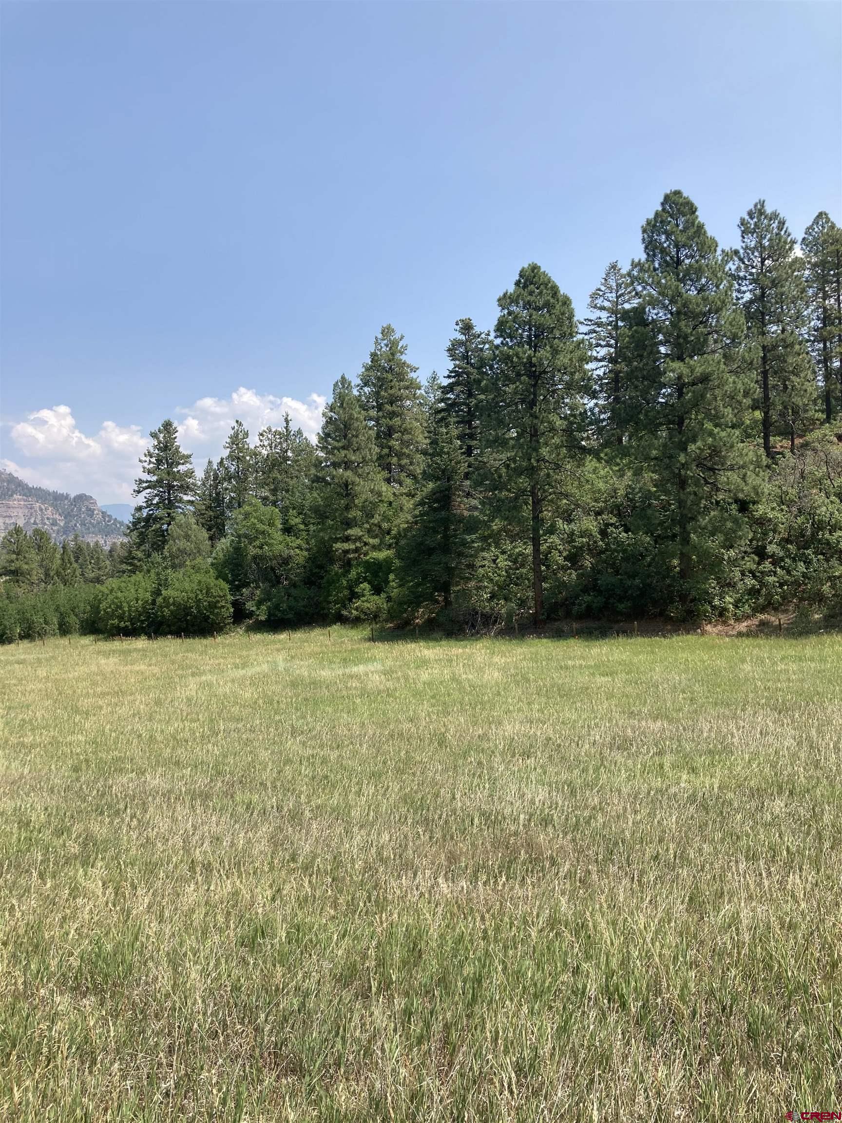 Tbd Tbd High Meadows Ranch Durango, CO 81301 - Photo 9 of 33