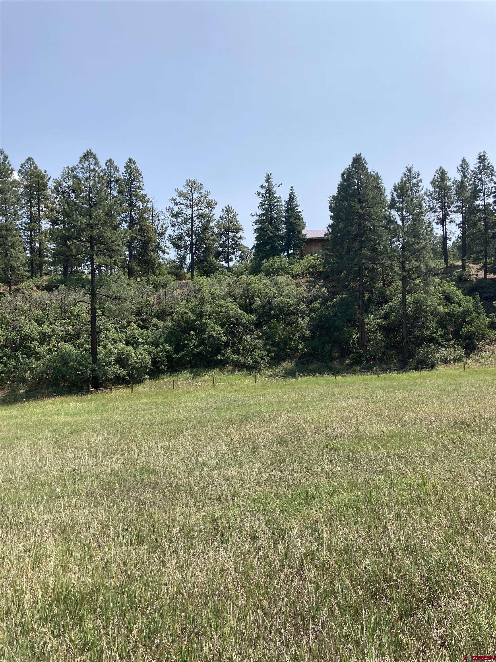 Tbd Tbd High Meadows Ranch Durango, CO 81301 - Photo 10 of 33