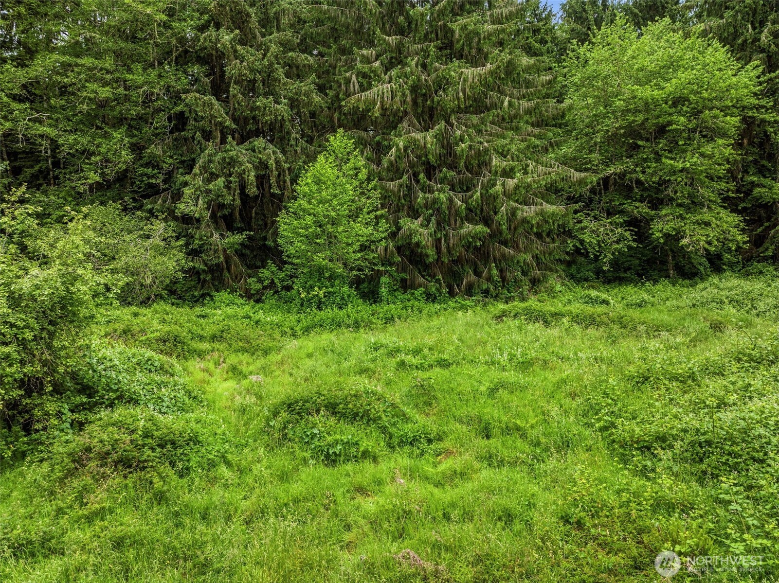 0 East Valley Road Skamokawa, WA 98647 - Photo 3 of 15