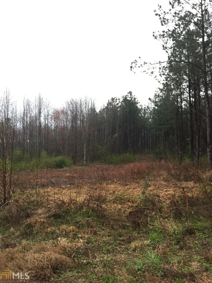 0 Harper Road, Unit 1 Bremen, GA 30110 - Photo 1 of 1 Gallery Image 1