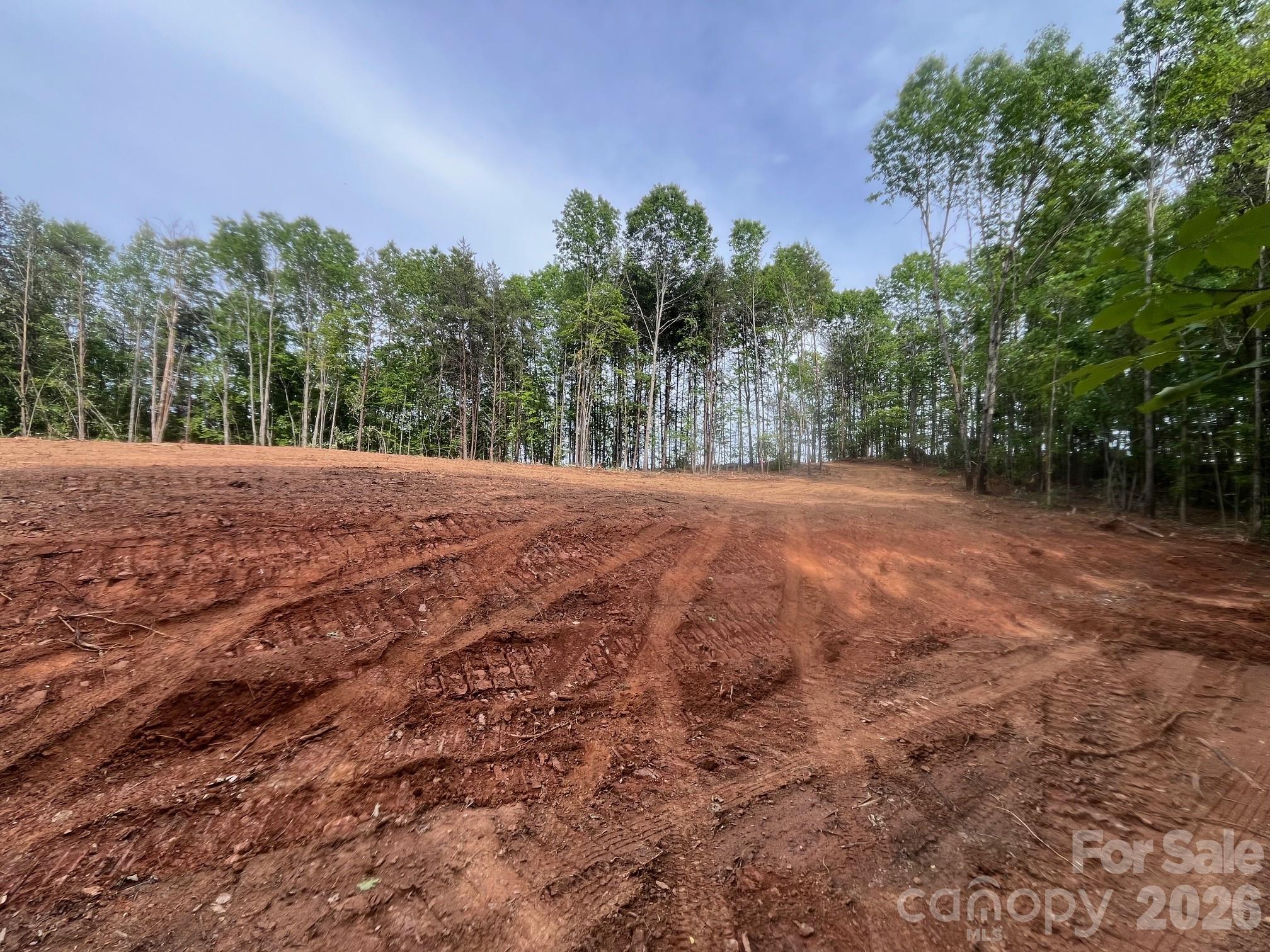 Tbd Vein Mountain Road, Unit 5 Nebo, NC 28761 - Photo 7 of 14 a view of a yard with a tree