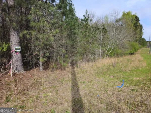 $49,500 | 0 Us Highway 341 North, Musella, GA 31066