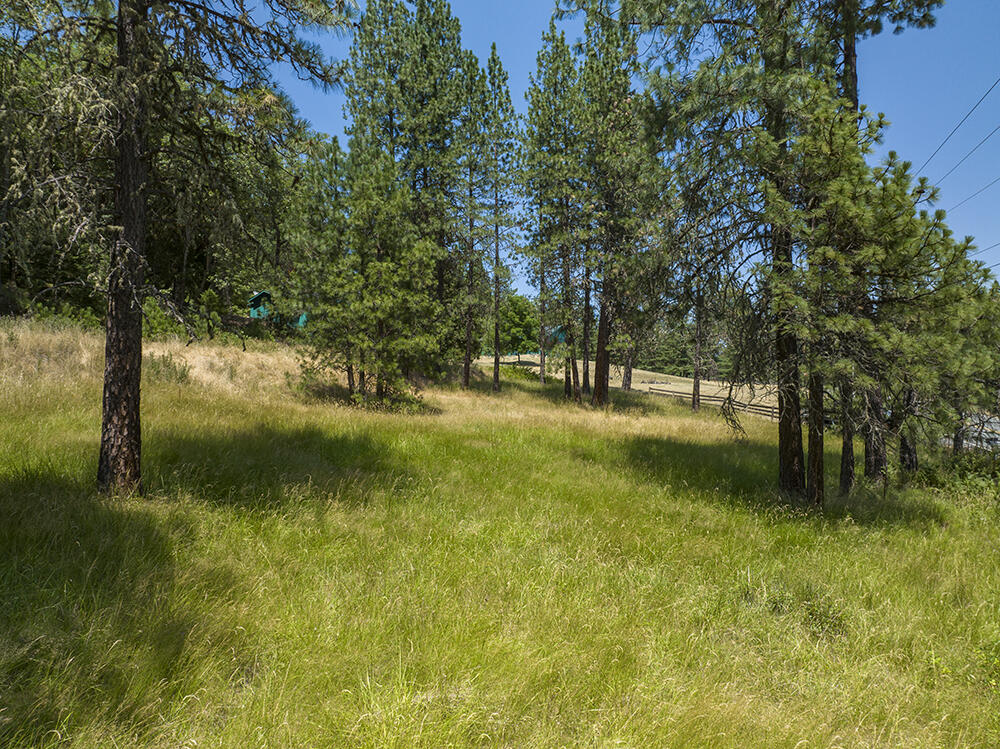 2756 Robertson Bridge Road Grants Pass, OR 97526 - Photo 5 of 46 5