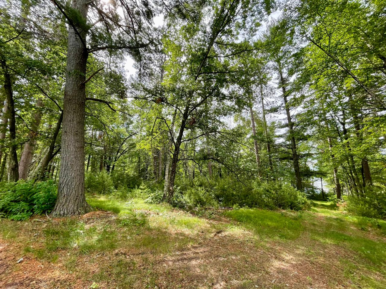 On Selmer Road, Unit LOT 18 Tomahawk, WI 54487 - Photo 8 of 8 Gallery Image 8