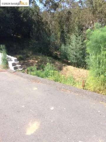 a view of a yard with potted plants