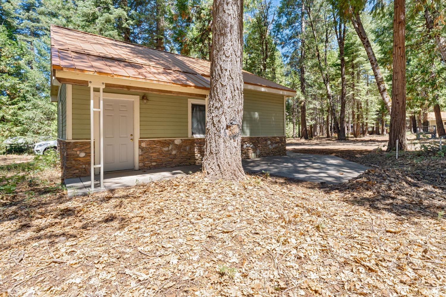 740 Hideaway Loop Alta, CA 95701 - Photo 50 of 74