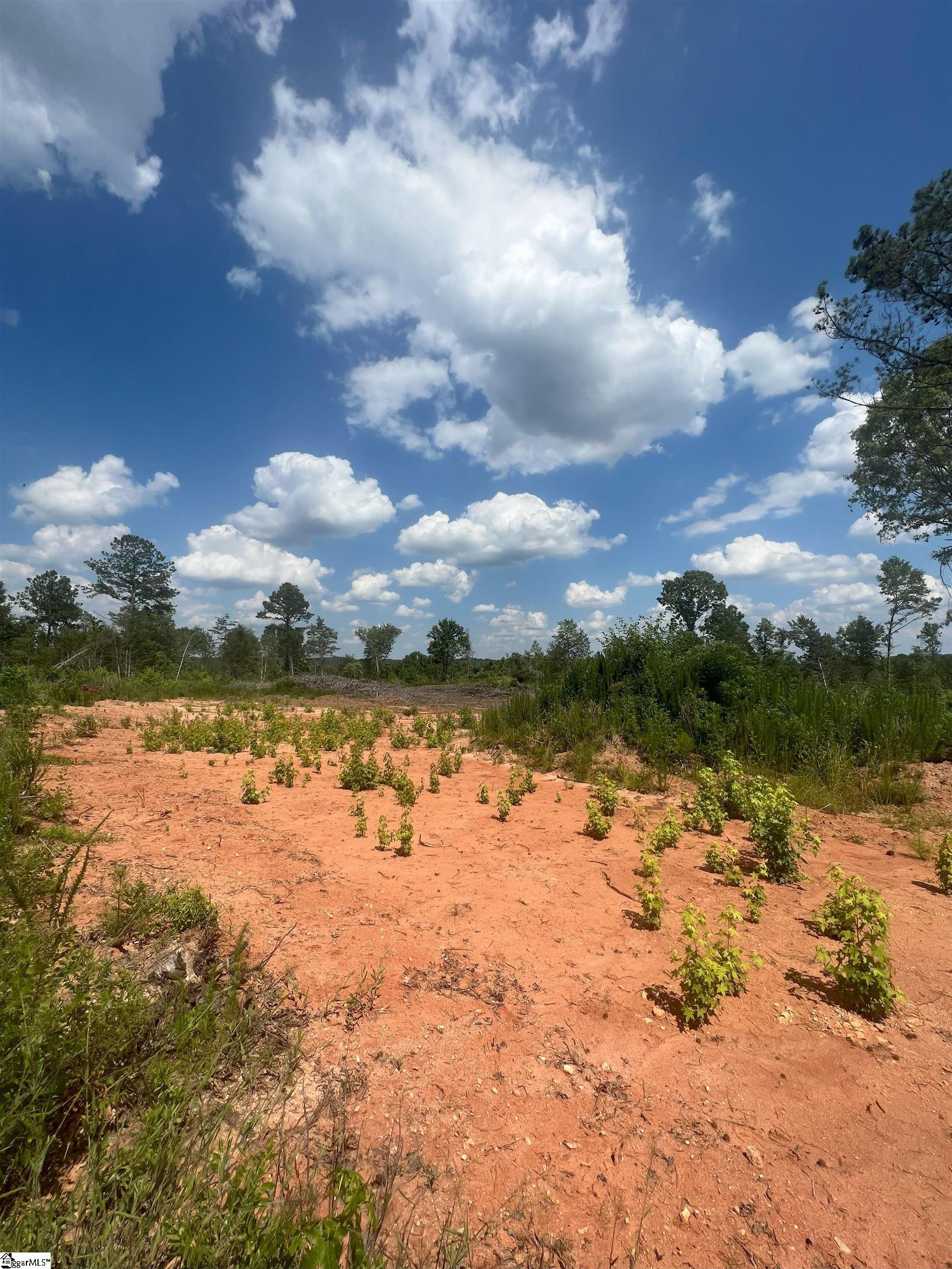 761 Casey Road Woodruff, SC 29388 - Photo 2 of 7