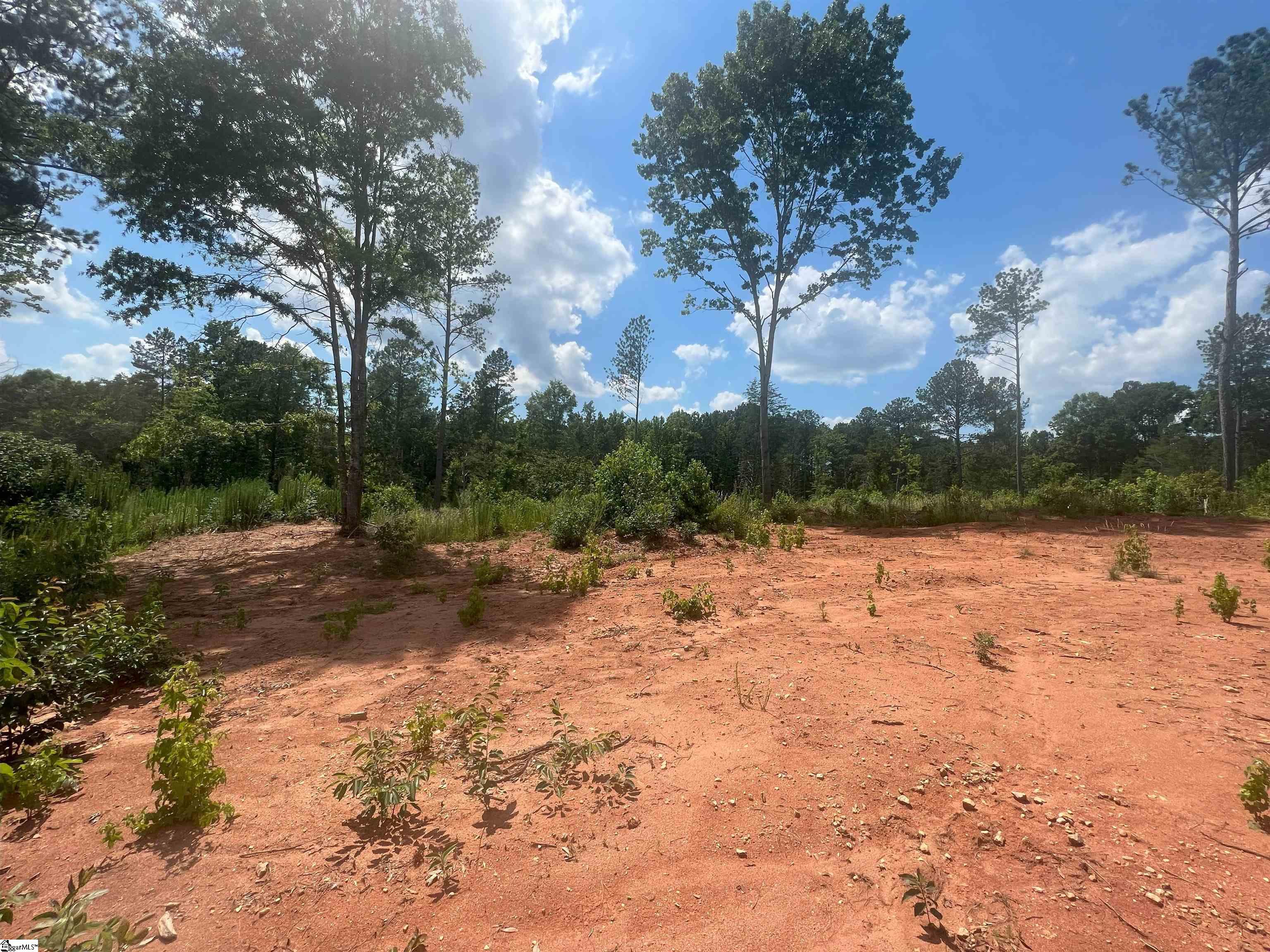 761 Casey Road Woodruff, SC 29388 - Photo 4 of 7