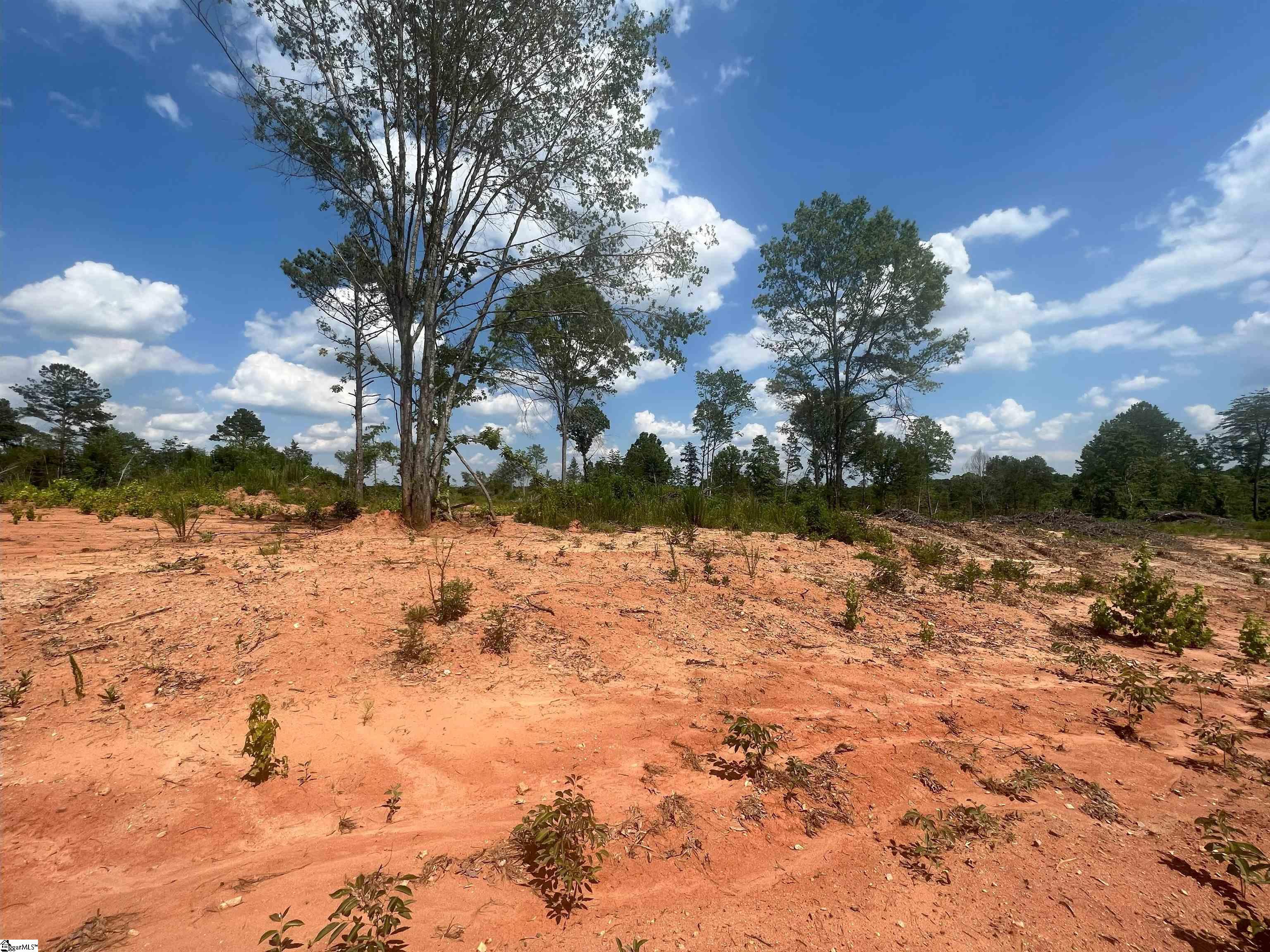 761 Casey Road Woodruff, SC 29388 - Photo 5 of 7