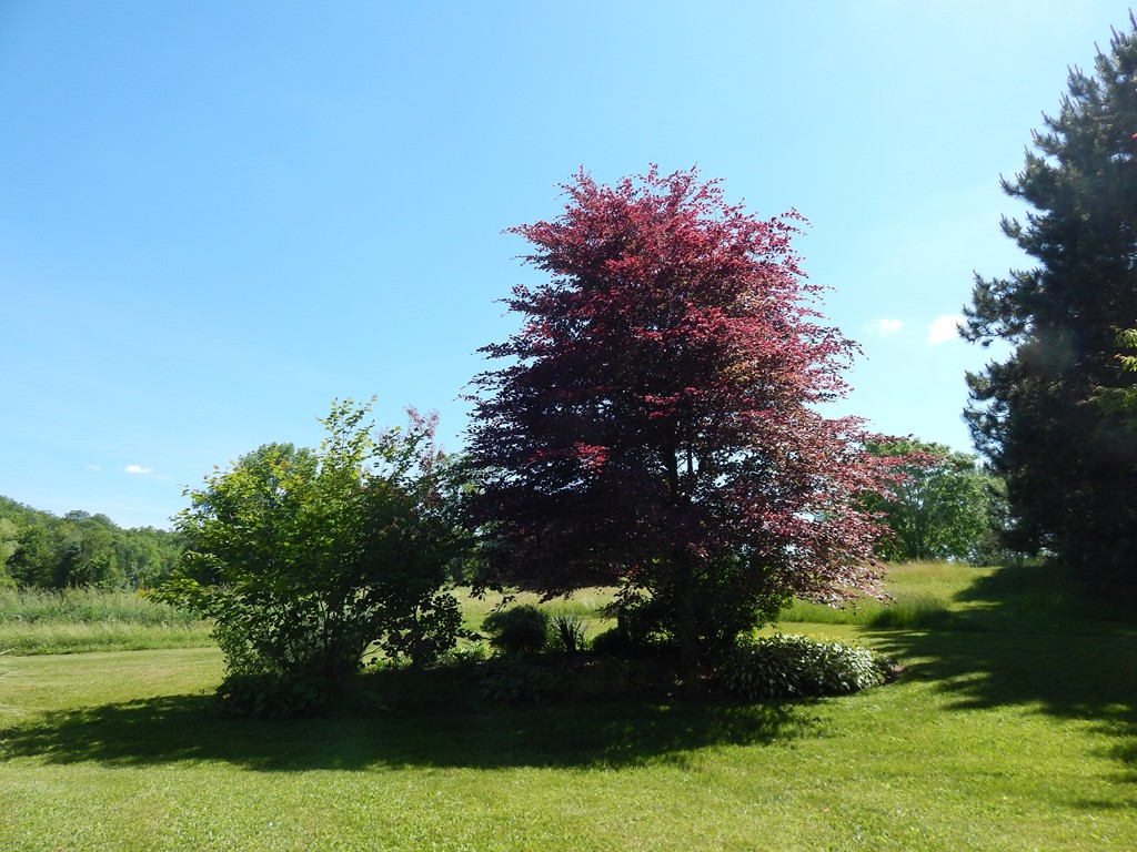 92 West Parsons Road Conway, MA 01341 - Photo 26 of 29 Gallery Image 26