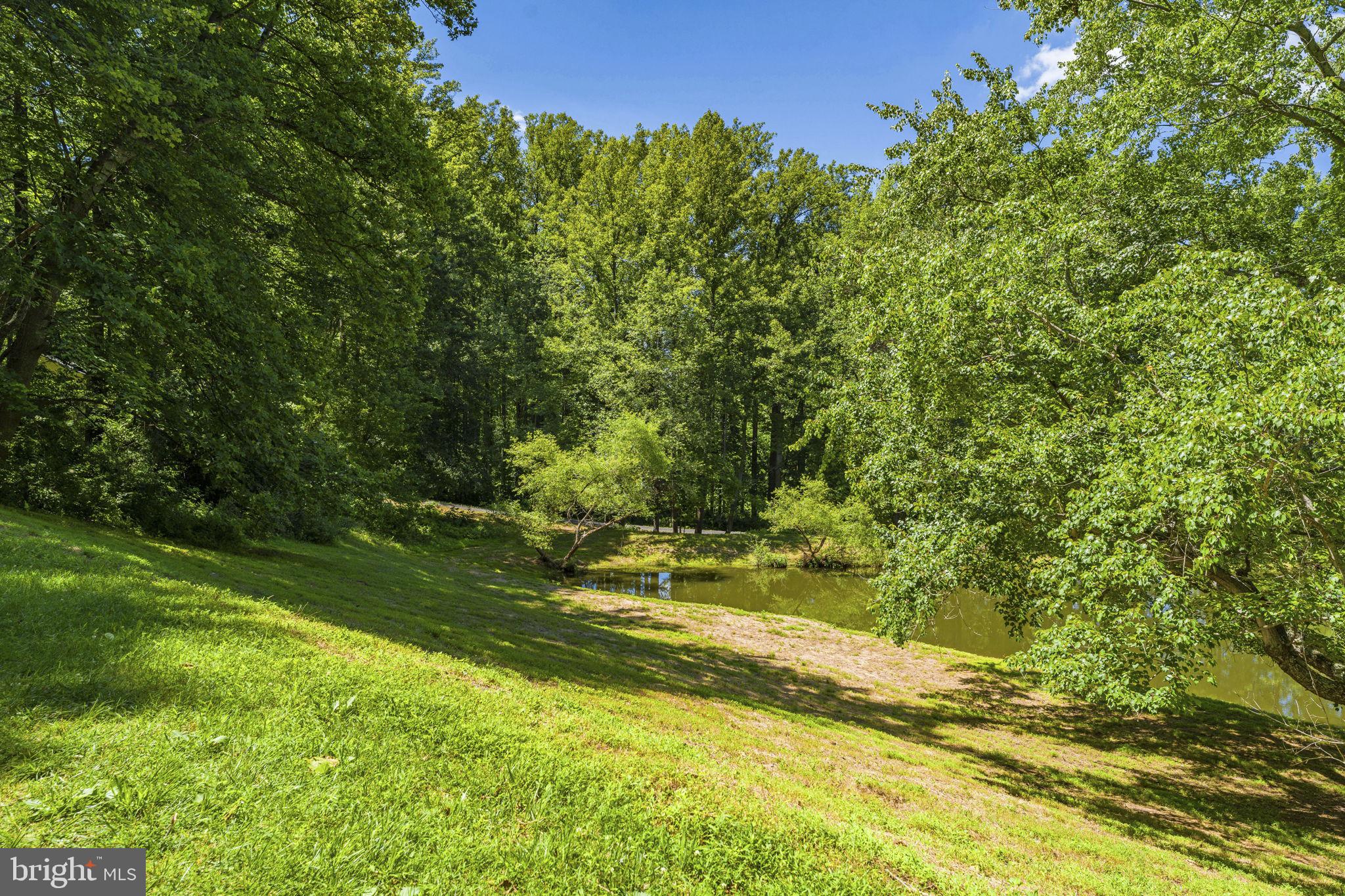 4639 Hopewell Road The Plains, VA 20198 - Photo 29 of 58