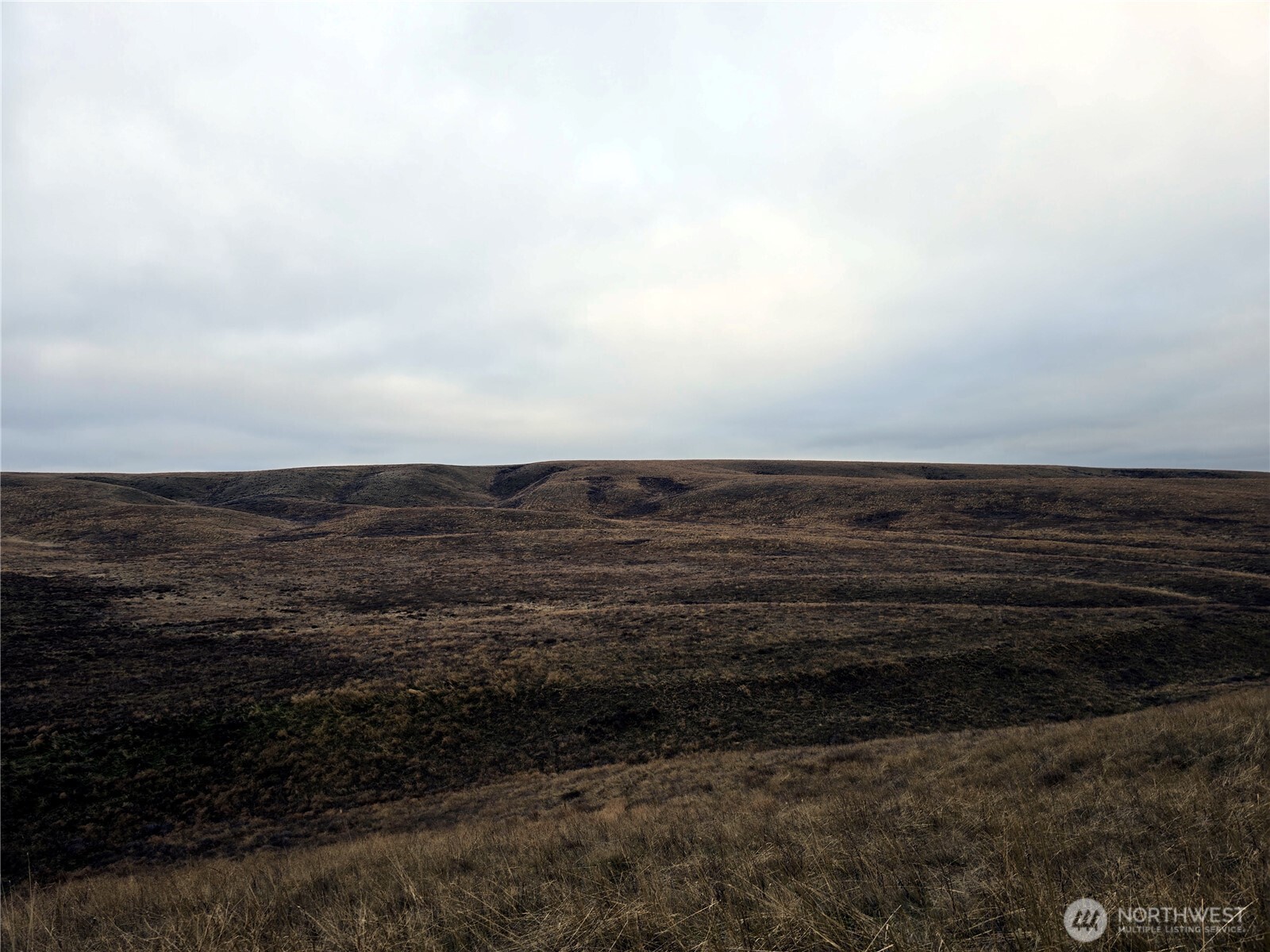 4200 Wadsworth Road Washtucna, WA 99371 - Photo 28 of 28