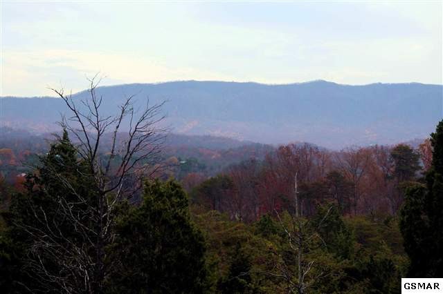 3 Sandy Ridge Road Dandridge, TN 37725 - Photo 1 of 1