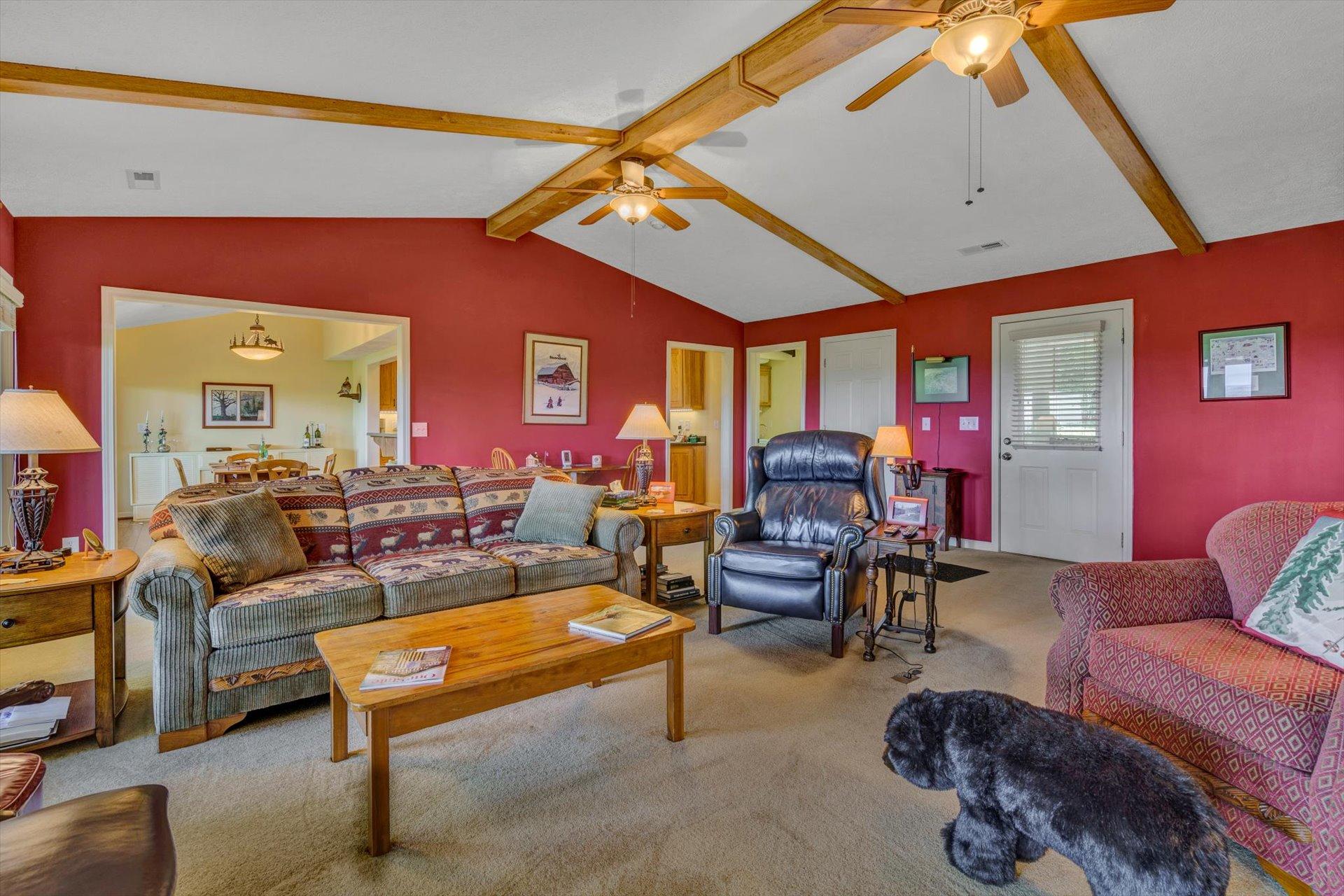 2005 Walnut Knob Road Southeast Floyd, VA 24091 - Photo 16 of 71 a living room with furniture a rug and a fireplace